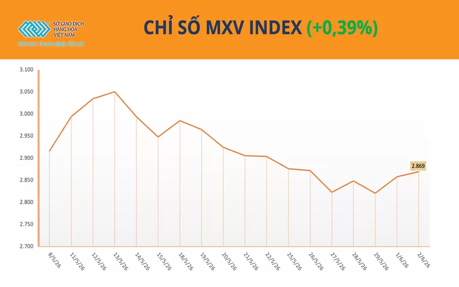 Bản tin MXV ngày 03/06/2026: Thiếu cung đẩy cao su lên cao nhất 9 năm, MXV-Index nối dài đà phục hồi